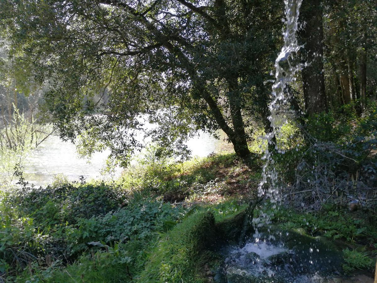 Vacanze Verde Mare - Beggi Casale Marittimo Εξωτερικό φωτογραφία